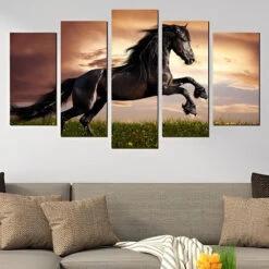 Schwarzes Pferd 5 TEILE Diamond Painting Set